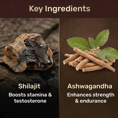 Wayveda Power Roll-On For Men - 50ml | Chocolate Flavour