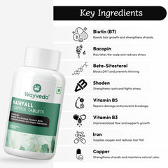 Wayveda Hairfall Control Tablets-60N
